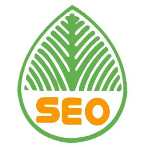 市中提升网站移动适配的注意事项